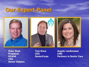 ACA Fog Panel